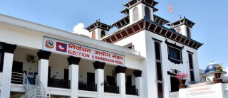 प्रदेशसभा निर्वाचनमा  बागीकै डर