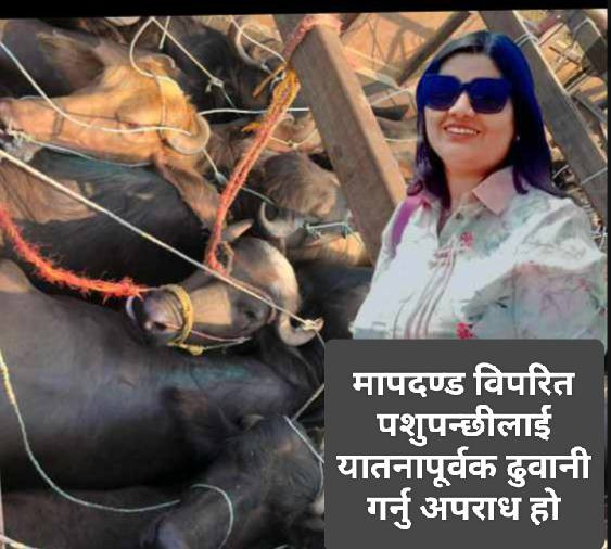 मापदण्ड विपरित पशुपन्छीलाई यातनापूर्वक ढुवानी गर्नु अपराध हो